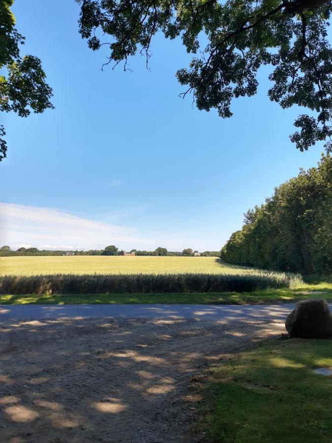 In Danmark- Agernaesgaard