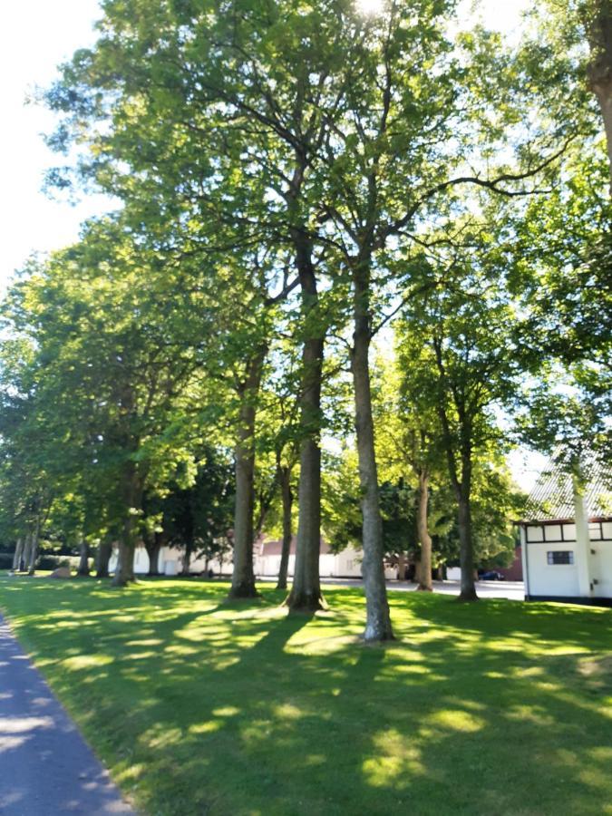 Apartment In Danmark- Agernaesgaard *