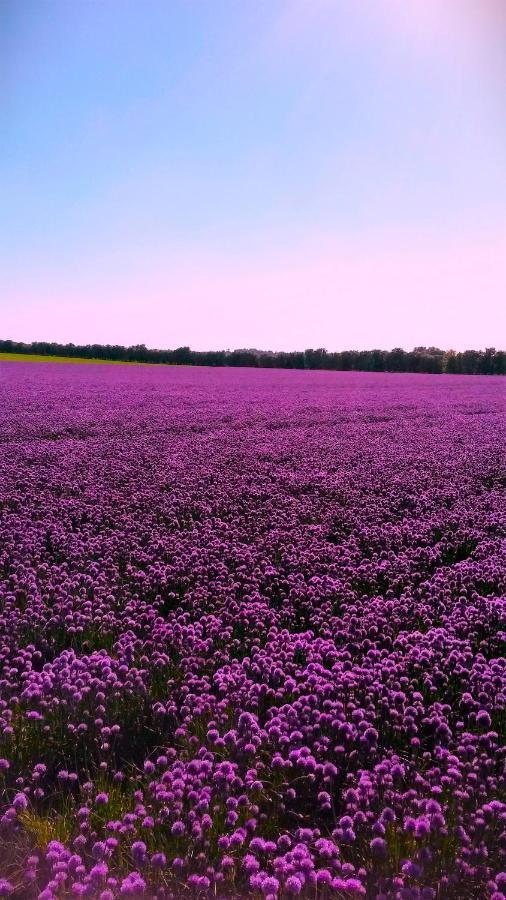 In Danmark- Agernaesgaard Otterup