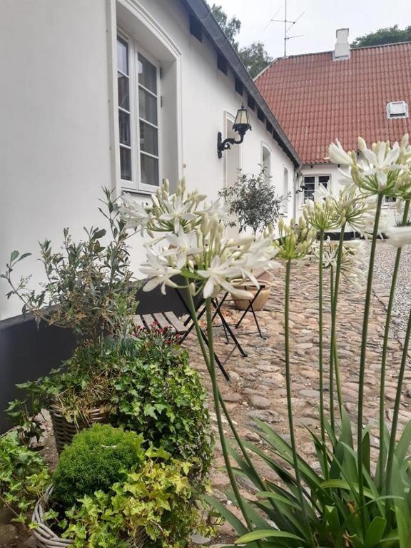 In Danmark- Agernaesgaard