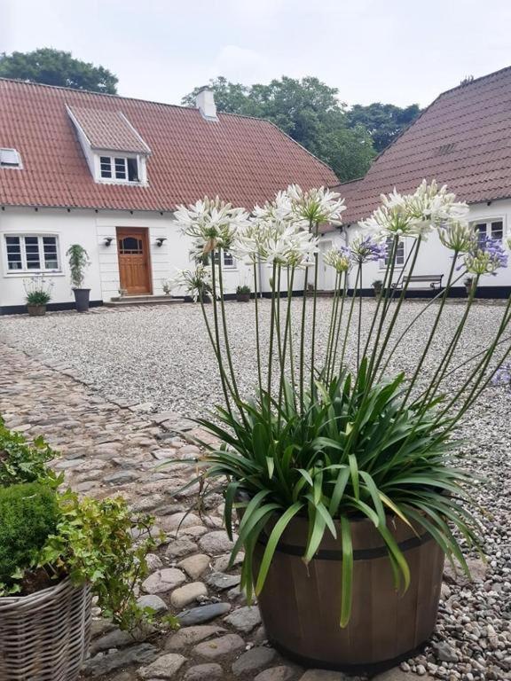 Apartment In Danmark- Agernaesgaard Otterup