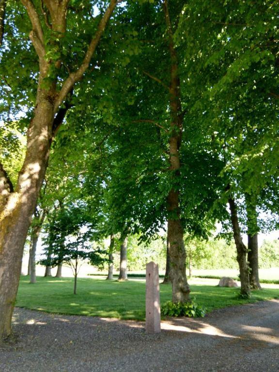 In Danmark- Agernaesgaard *