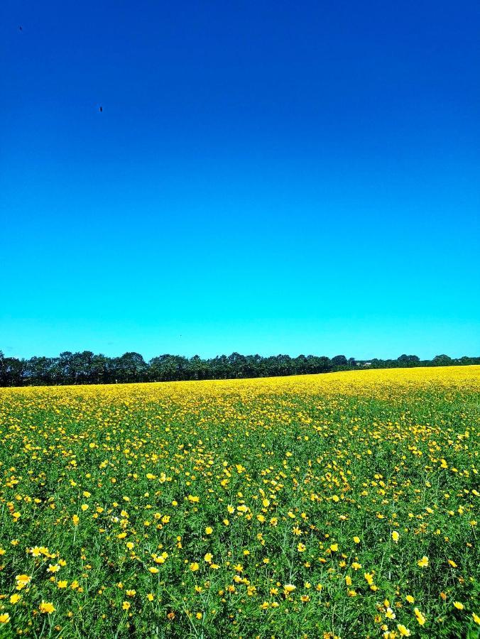In Danmark- Agernaesgaard
