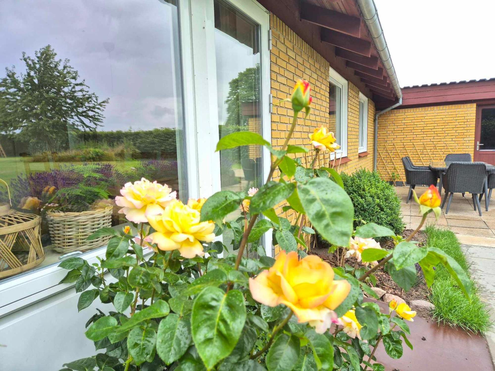 In Danmark- Agernaesgaard Apartment *