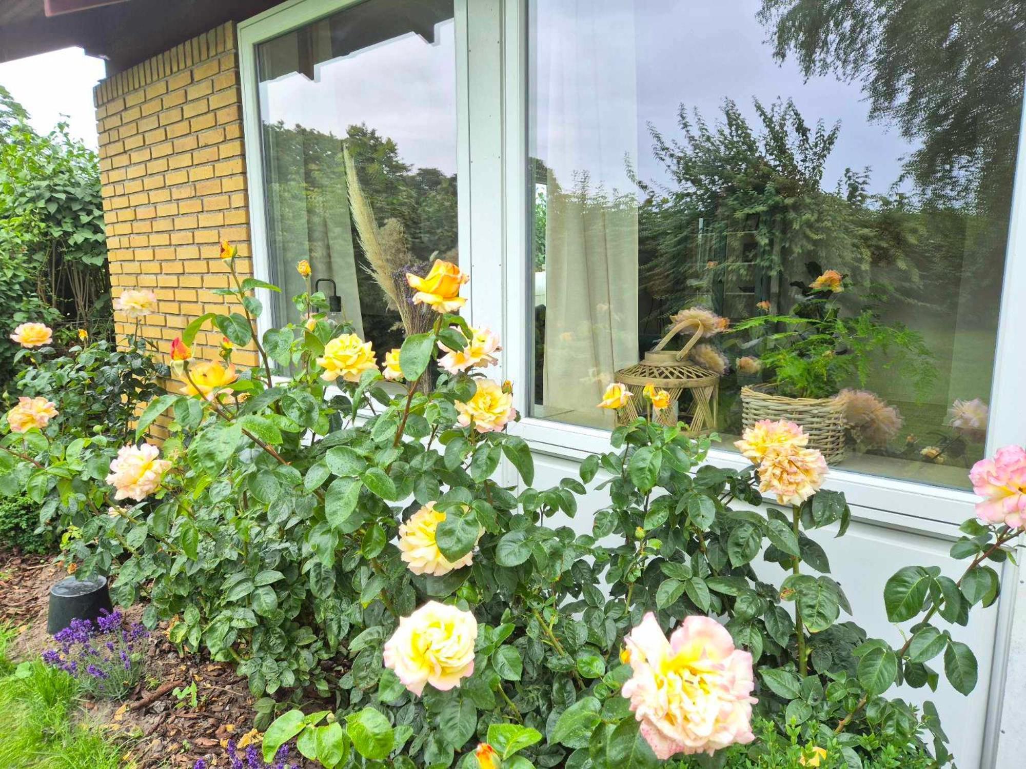 Apartment In Danmark- Agernaesgaard Otterup
