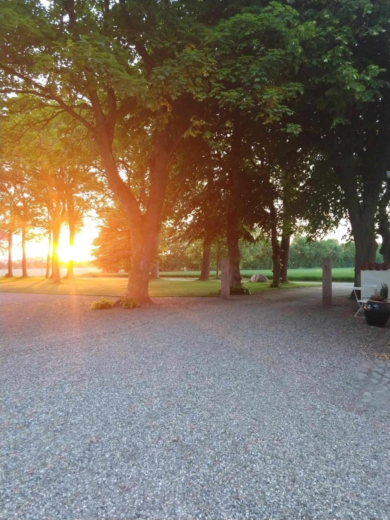 In Danmark- Agernaesgaard
